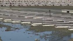 California Drought Stock Footage