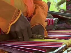 ECU TU Shot of Woman weaving in field / Soe, Mt. Mutis, West Timor Indonesia Stock Footage