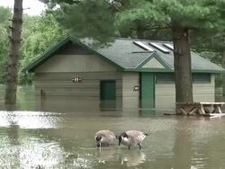 Flooding caused by Hurricane Irene Stock Footage