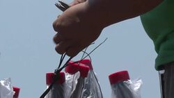 CLEAN : Rio prepares for New Year's Eve fireworks show News Clip