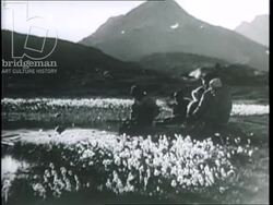 Greenland expedition, 1934, by French explorers - indigenous people hunt with harpoons in kayaks. Children learn to ride kayaks. Stock Footage