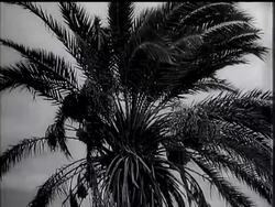 SECOND FRONT: MOMENTS IN THE LULL - News Clip