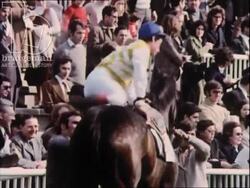 Horse racing in France, 1970s Stock Footage