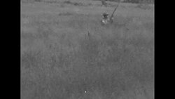 Soldiers moving stealthily through field and firing rifles on proving ground in Fort Knox News Clip