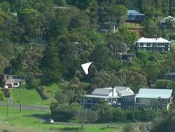 WS AERIAL ZI View of paraglider landing on beach / Stanwell Park, Sydney New South Wales, Australia Stock Footage