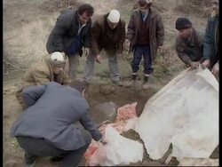 KOSOVO: TERSTENIK: MASS GRAVE EXCAVATION News Clip