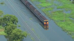 VOICED: Predictions for the Dragon lunar year News Clip