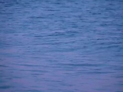 Sunset Waves Stock Footage