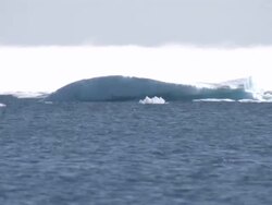 Iceberg and drift ice in the Arctic and Northwest Passage News Clip