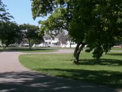 Summer Landscape. City park. Recreational area. Sporting activity. People relaxing. Stock Footage
