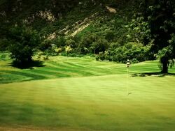 Beautiful golf course Stock Footage