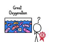 How Many Mass Extinctions Have There Been? Instructional Video