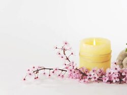 HD DOLLY: Wellness and Spa Still Life Stock Footage