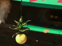 Truck driver with his a new truck, Ballabgarh, Haryana, India Stock Footage