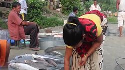 CLEAN : In India's isolated northeast, time for a change News Clip