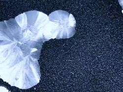 Freezing Stock Footage