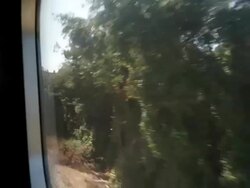 Judea Train Ride Stock Footage