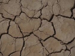  CU Cracks on dried up land / Mojave, California, USA Stock Footage