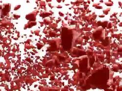 Love from Heart (isolated) Stock Footage