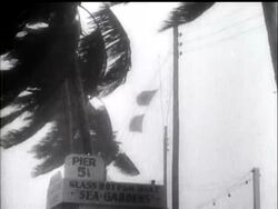 HURRICANE HAVOC - IN THE PATH OF DISASTER News Clip