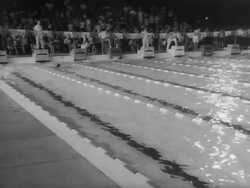 16th National A.A.U. Women's Outdoor Swimming Championships Stock Footage