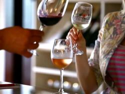 Wine tasting event. Stock Footage
