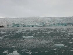 A seal resting on a small iceberg among sea-ice in front of NordenskiÃ¶ldbreen glacier, Spitsbergen Stock Footage