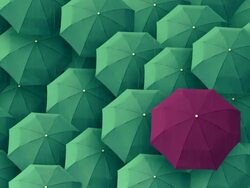 Umbrella, leader, unique, boss, individuality, original, special Stock Footage