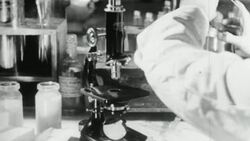 1939 MONTAGE Scientist in a laboratory examining specimens under a microscope and running tests / United Kingdom Stock Footage