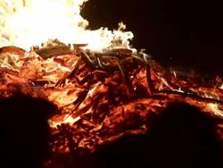 wood burning in slow motion Stock Footage