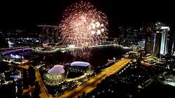 CLEAN : Singapore celebrates the new year News Clip