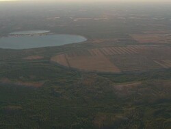 WS AERIAL View of forest and farmyard area / North Carolina, United States Stock Footage