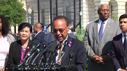 US Democrat legislators: immigration separation policy scars children for life Instructional Video