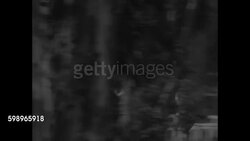 Track star Ben Eastman breaks 1/2-mile record in Palo Alto, CA News Clip