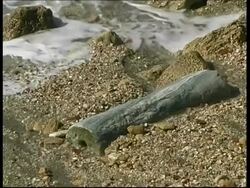 Marble pillars on rocky outcrop, Israel Stock Footage