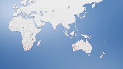 South Africa, Australia to share SKA super telescope Instructional Video