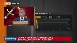 BOE's Carney Says Not Yet Time to Raise Rates News Clip