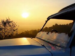 Oldcar at sunrise Stock Footage
