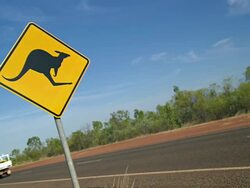 MS Outback road sign of 'Kangaroo' with car passing / Karumba, Queensland, Australia Stock Footage