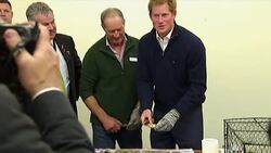 Prince visits islands in south, shucks oysters News Clip