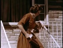 Suburan housewife drives kids to school Stock Footage