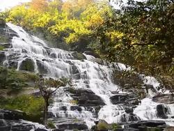 Dolly Shot: Cascade Waterfalls in Tropical Rainforests Stock Footage