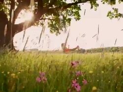 Young girl swinging on a swing Stock Footage