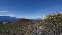 Mauna Kea Landscape Stock Footage