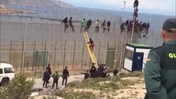 Border police force illegal migrants down from fence and return them to Morocco News Clip