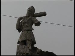 Red tide washes dead fish ashore in Mexico's Yucatan peninsula News Clip