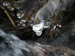  CU  Little brook with icicles in winter  /  Kastel-Staadt, Rhineland-Palatinate, Germany  Stock Footage