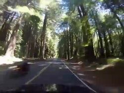 A rural road in the Northern California coastal area with the Pacific Ocean and Redwood trees. Stock Footage