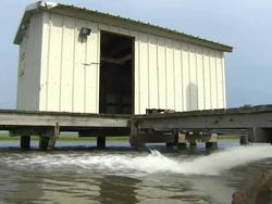 Marshland in Louisiana News Clip