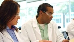 Experienced scientists discuss lab project Stock Footage